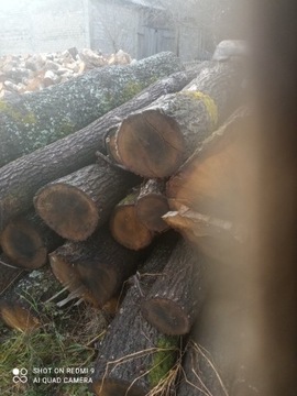 Drewno kominkowe DĄB 
