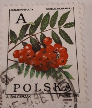 Znaczek pocztowy stemplowany Polska, Jarząb 1995