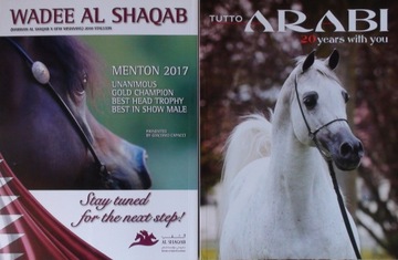 TUTTO ARABI 4/2017, Ekstern, Białka, Cracow Sale