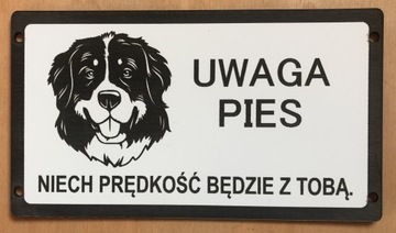 Tabliczka ostrzegawcza uwaga zły pies