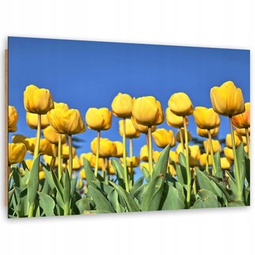 Obraz 3D na ścianę Żółte tulipany na łące 90x60