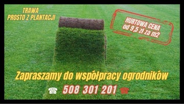 Trawa ogrodowa 35 m2 PREMIUM, trawnik rolowany
