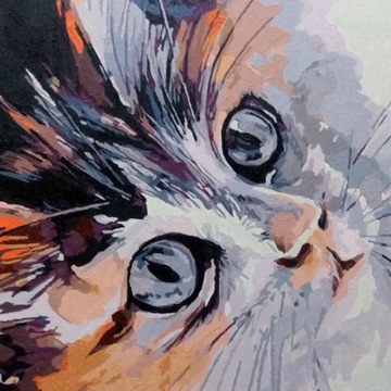 Malowanie po numerach - kot - pomalowany - rama