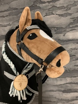 Hobby horse Texas 
