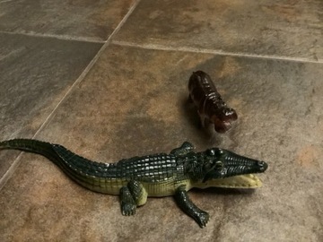 Krokodyl i hipopotam