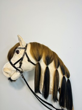 Hobby horse Texas