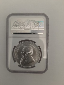 2019 - Krugerrand 1 uncja srebra MS 69 NGC