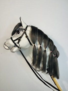Hobby horse Dacota