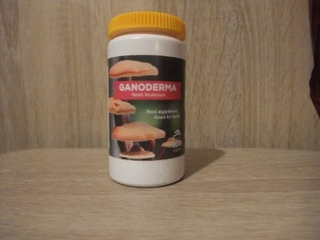 Ganoderma - Lucidum - Reishi 500 mg 100 kapsułek