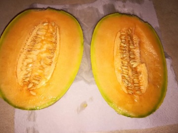 Melon Slodki Nasiona 