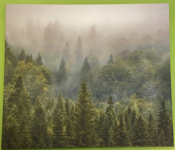 Obraz na płótnie Las we mgle