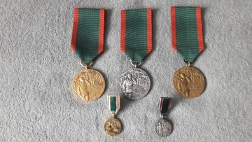 Medal myśliwski PZŁ nr 8
