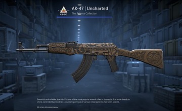 SKIN CS2 AK-47 | Niezbadany/Uncharted
