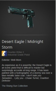 skiny csgo, deagle midnight storm 