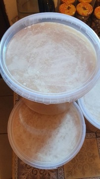 Miód rzepakowy rzepak 7.5kg 