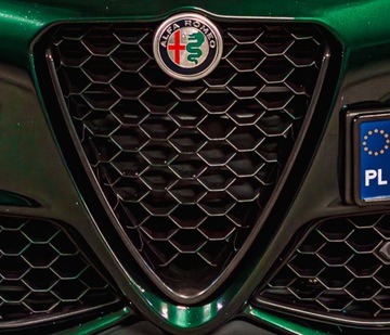 Alfa Romeo Giulia OEM Grill Scudetto Nero Black 