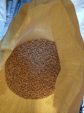 25 kg Kukurydza ziarno pasza karma dla drobiu kur