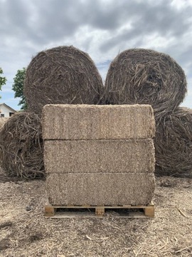 Paździerz konopny, hempcrete