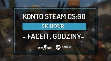 KONTO STEAM CS:GO 5000 GODZIN+ CSGO FACEIT GODZINY