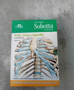 Anatomia Sobotta Flashcards Kości stawy więzadła 