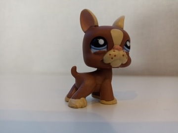 Littlest pet shop pies Buldog Francuski + dodatek 