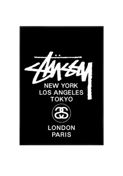 Plakat A4 21x30 Stüssy Y2K do pokoju