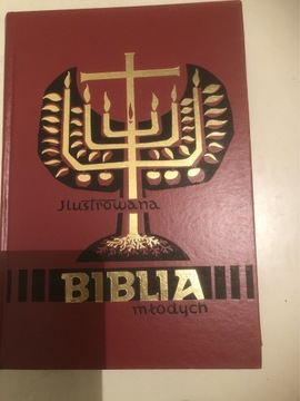 Ilustrowana Biblia Młodych