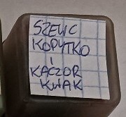 Szewc kopytko i kaczor Kwak Bajka Bajki na Rzutnik projektor Ania lub Jacek