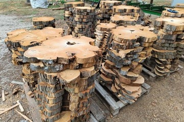 Plaster drewna akacja 