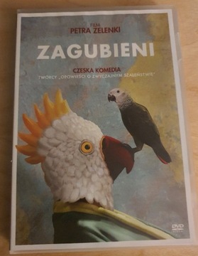 Zagubieni dvd   