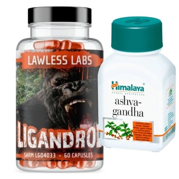 Lawless Labs Ligandrol 60 kaps. GRATIS Ashvaganda!