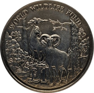 Cypr 1 pound 1986, KM#59