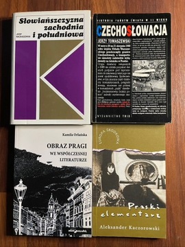 Książki teoretyczne - Czechy