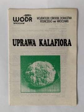 Uprawa kalafiora, WODR Wrocław, Unikat