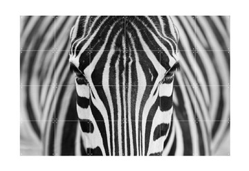 IXXI Dekoracja Ścienna - Zebra 180x120cm 54 cards