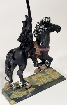 Warhammer Dark Elves - Dark Rider Standard 