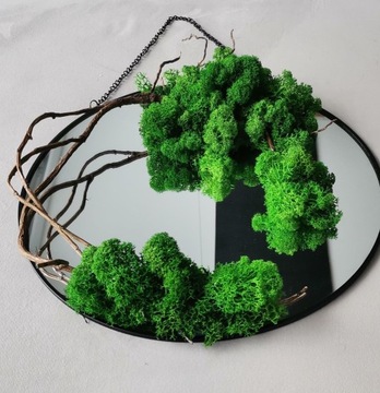 Drzewko bonsai z mchu lustro na prezent