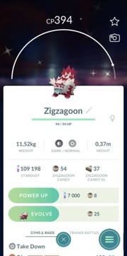 Zigzagoon Pokémon Shiny Pokémon GO