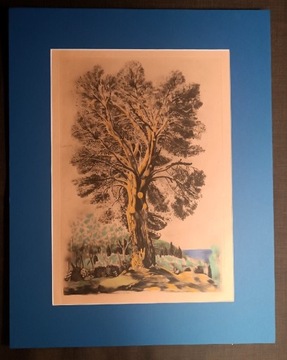 M.Kisling,Drzewo,akwaforta,kolor.1954r.