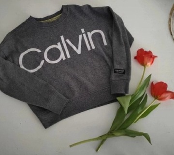Bluza Calvin Klein xs