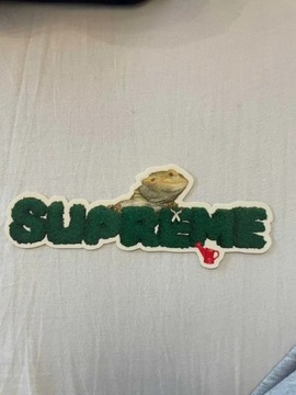 Supreme Lizard Sticker / Naklejka