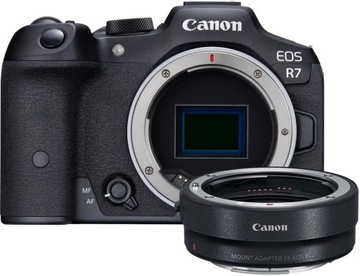 Canon EOS R7 (body) + Adapter Canon EF Gw. 24 m-ce