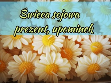 Świeca sojowa stokrotka 