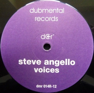 Steve Angello – Voices
