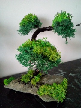 Drzewko bonsai z drutu . Idealne na prezent .