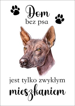 Plakat Dom bez psa jest tylko zwykłym mieszkaniem