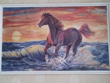 Obraz z koniem o zachodzie słońca 104cm x 65cm