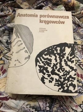 Anatomia porównawcza kręgowców