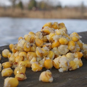 Kukurydza gotowana zanęta wędkarska ANANAS 1kg