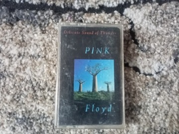 Pink Floyd-Delicate sound of Thunder 